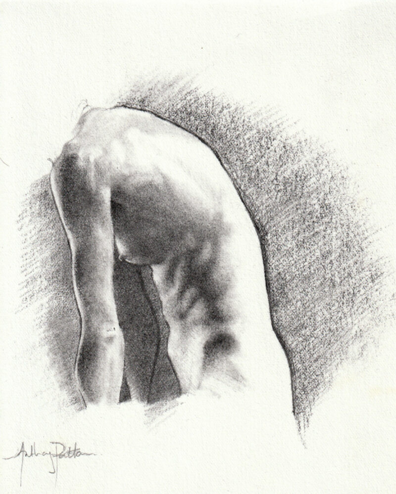 Torso